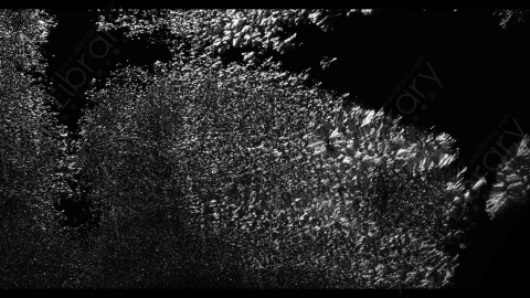 视频素材-寒冷天气结冰结霜Arctic_Frost_01