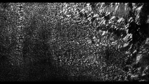 视频素材-寒冷天气结冰结霜Arctic_Frost_02
