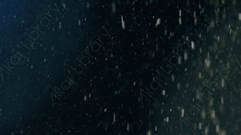 视频素材-下雪雪花飘落SnowFlare_02