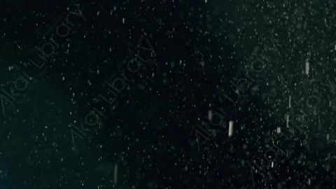 视频素材-下雪雪花飘落SnowFlare_03