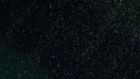 视频素材-下雪雪花飘落SnowFlare_04