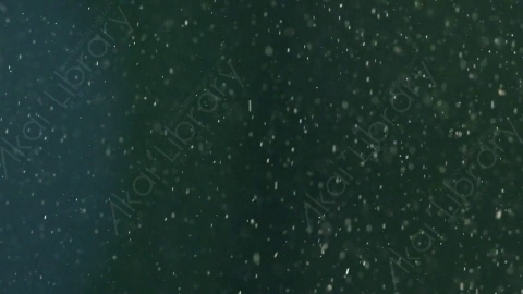 视频素材-下雪雪花飘落SnowFlare_05