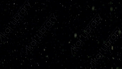 视频素材-下雪雪花飘落Snow_02
