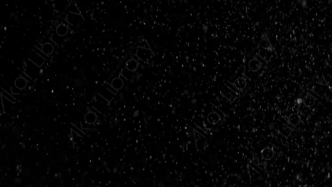 视频素材-下雪雪花飘落Snow_05