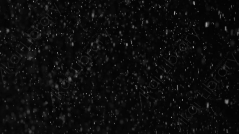 视频素材-下雪雪花飘落Snow_06