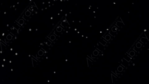 视频素材-下雪雪花飘落Snow_GentleFall_08