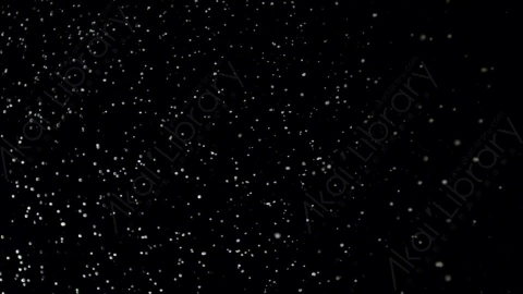 视频素材-下雪雪花飘落Snow_GentleFall_10