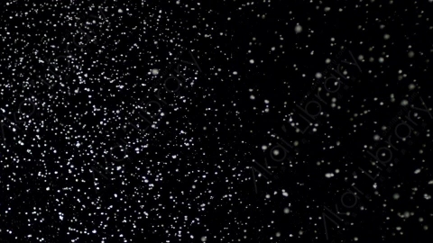 视频素材-下雪雪花飘落Snow_GentleFall_11