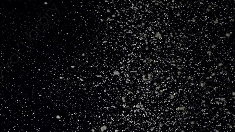 视频素材-下雪雪花飘落Snow_GentleFall_18