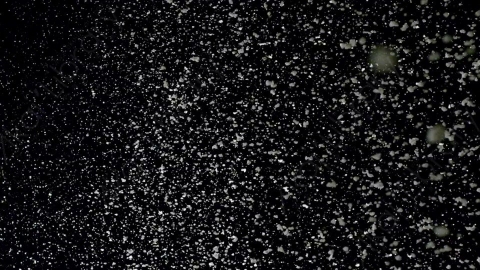 视频素材-下雪雪花飘落Snow_GentleFall_20