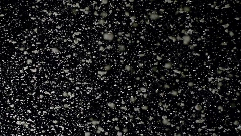 视频素材-下雪雪花飘落Snow_GentleFall_22