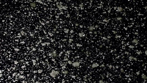 视频素材-下雪雪花飘落Snow_GentleFall_23