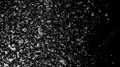 视频素材-下雪雪花飘落Snow_GentleFall_26