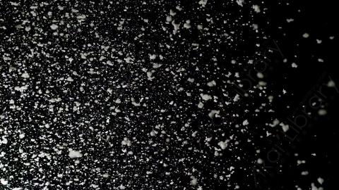 视频素材-下雪雪花飘落Snow_GentleFall_28