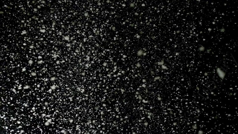 视频素材-下雪雪花飘落Snow_GentleFall_30