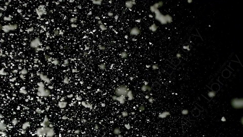 视频素材-下雪雪花飘落Snow_GentleFall_34