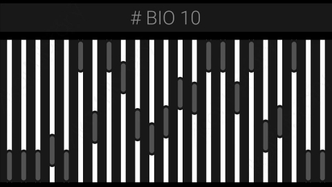 AE模板-Bar 10_HUD科技图表界面元素.zip