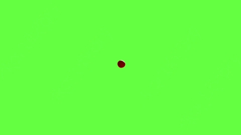 视频素材-血液滴落Blood_Drops_120fps_02