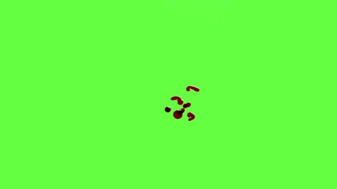 视频素材-血液滴落Blood_Drops_120fps_05