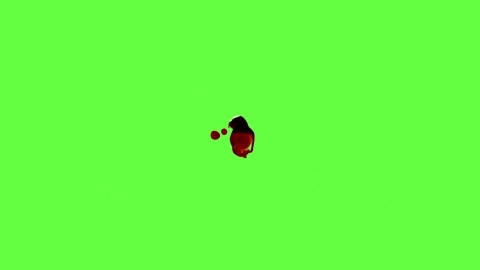 视频素材-血液滴落Blood_Drops_60fps_12