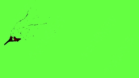 视频素材-血液喷出Blood_HitSide_Medium_120fps_05
