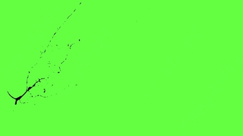 视频素材-血液喷出Blood_HitSide_Medium_120fps_07