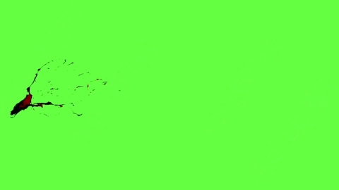 视频素材-血液喷出Blood_HitSide_Medium_60fps_02