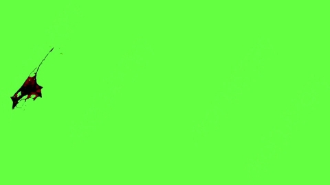 视频素材-血液喷出Blood_HitSide_Medium_60fps_11