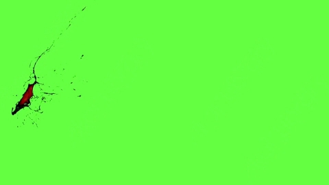 视频素材-血液喷出Blood_HitSide_Medium_60fps_14