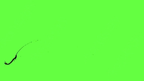 视频素材-血液喷出Blood_HitSide_Small_60fps_08