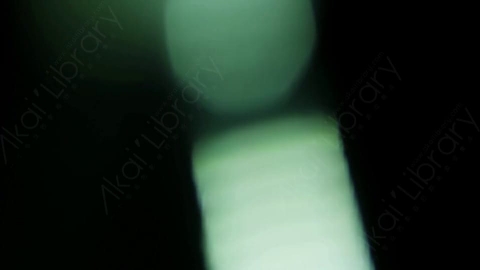 视频素材-耀斑Bokeh7_4K
