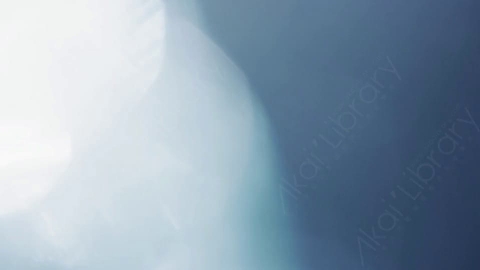 视频素材-耀斑Bold_19