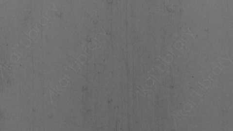 视频素材-噪点颗粒Distortion_Dirt_and_Scratches_-_8mm