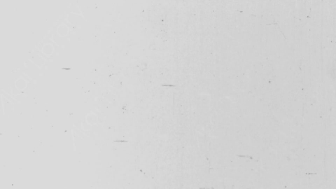 视频素材-噪点颗粒Distortion_Scratches_Inverted_-_16mm