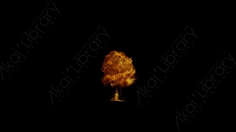视频素材-爆炸火焰Explosion_Air_120fps_02