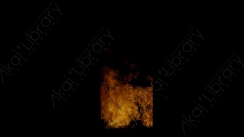视频素材-门内燃烧火焰Fire_Door_Front_120fps_09