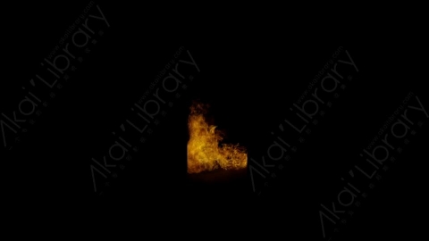 视频素材-门内燃烧火焰Fire_Door_Front_60fps_03