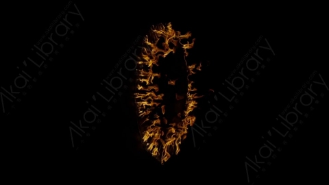 视频素材-环形燃烧火焰Fire_Ring_Side_120fps_03