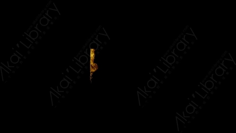 视频素材-窗户窗口燃烧火焰Fire_Window_Corner_Top_Left_60fps_01