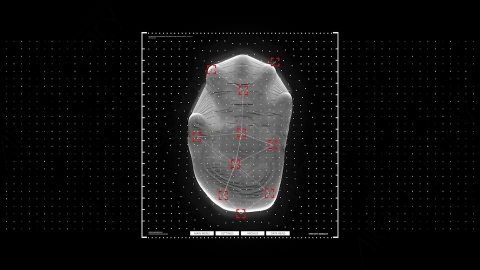 AE模板-Hand Scanner_UI_02手掌扫描识别分析HUD科技界面.zip