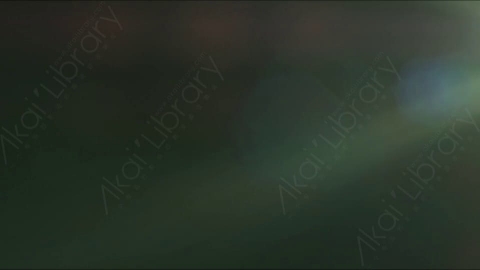 视频素材-漏光High_Speed_85mm_05