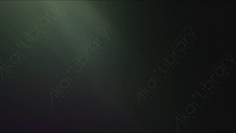 视频素材-漏光High_Speed_85mm_06