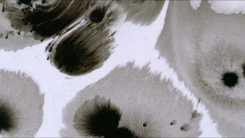 视频素材-Ink_On_Paper_6水墨晕染