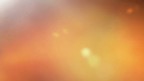 视频素材-LL_014耀斑