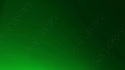 视频素材-LeaksBG_004漏光
