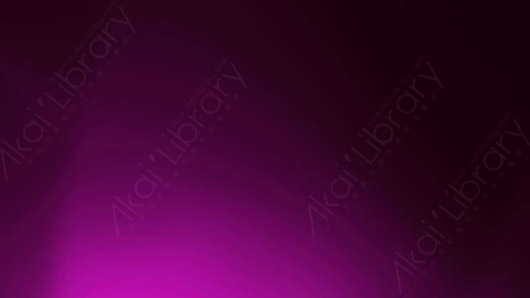 视频素材-LeaksBG_007漏光