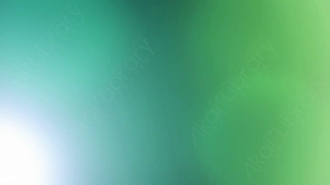 视频素材-耀斑LeaksN_Flares_004