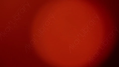 视频素材-耀斑LeaksN_Flares_010