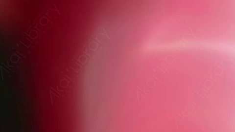 视频素材-漏光Light-Leak_A08-2560