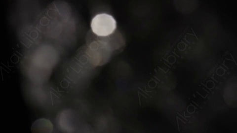 视频素材-耀斑Luminary_27